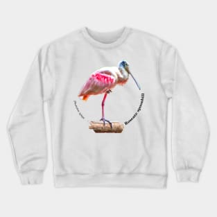 Roseate spoonbill tropical bird pin black text Crewneck Sweatshirt